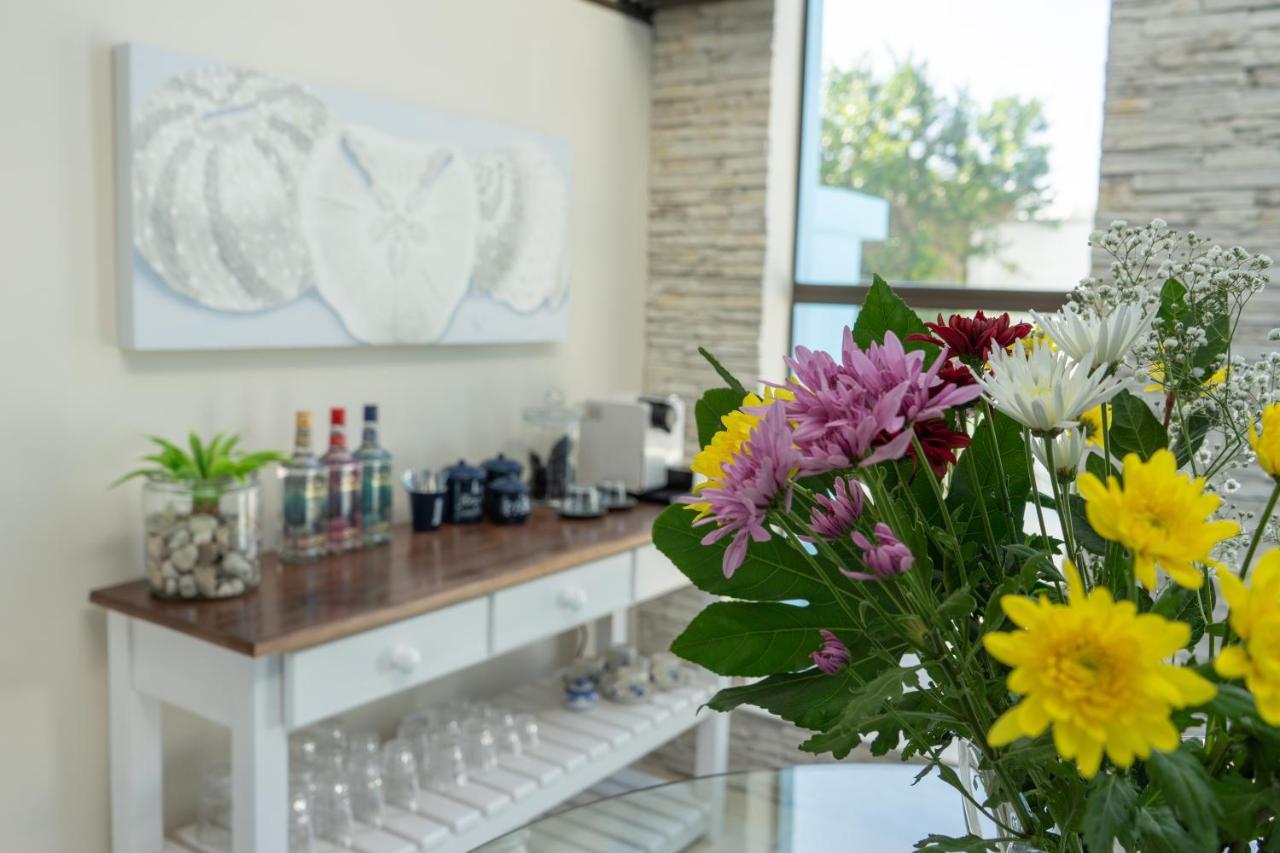 Tergniet Blue Star Villa מראה חיצוני תמונה